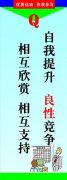 九州酷游app:四季沐歌太阳能热水管